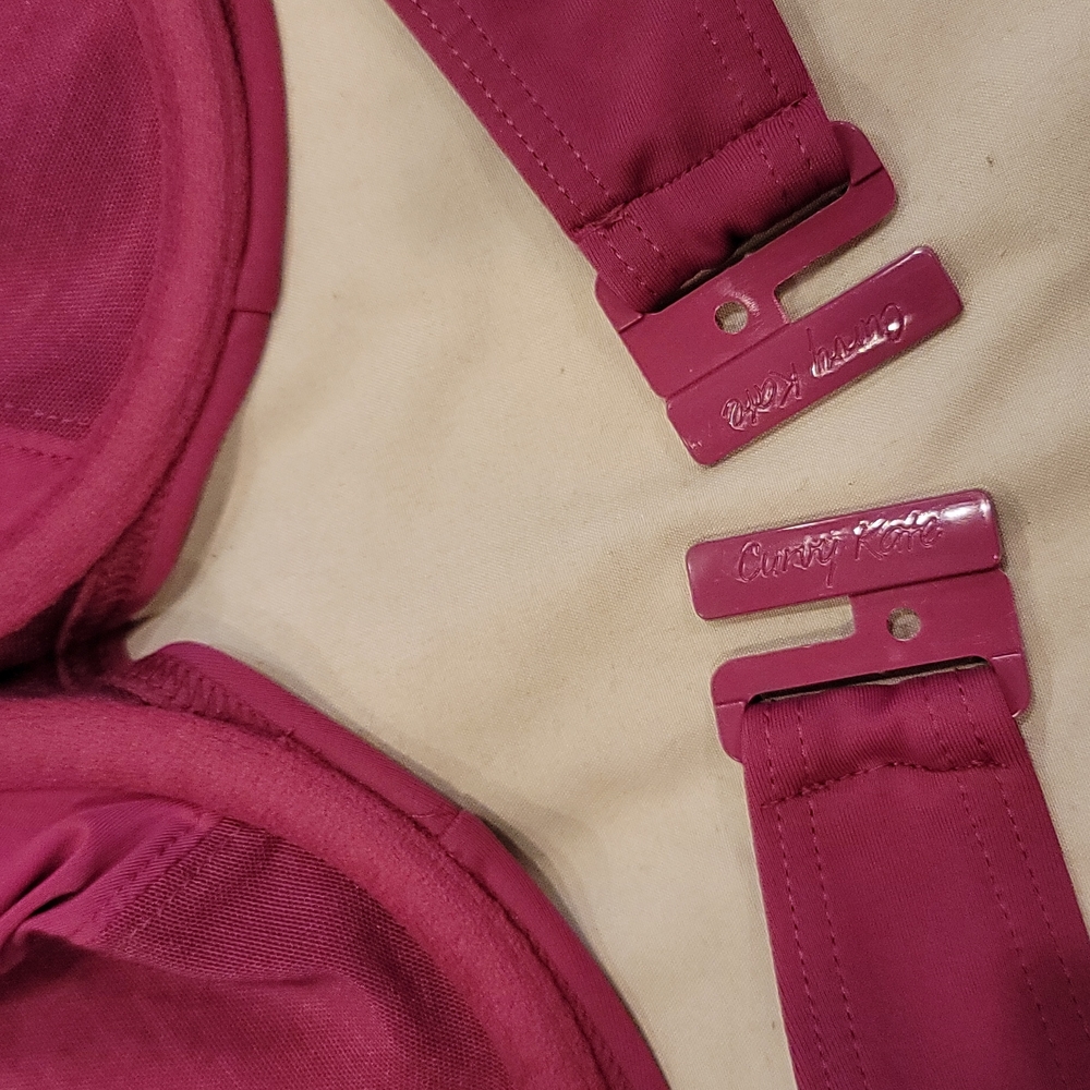 Curvy Kate Raspberry Bikini - Picture 9 of 16